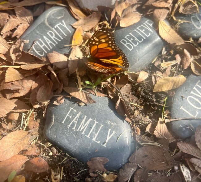 Inspirational rocks in a bed of dry leaves with a butterfly