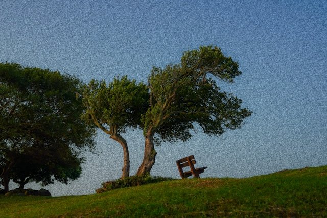 Empty park bench under a tree.